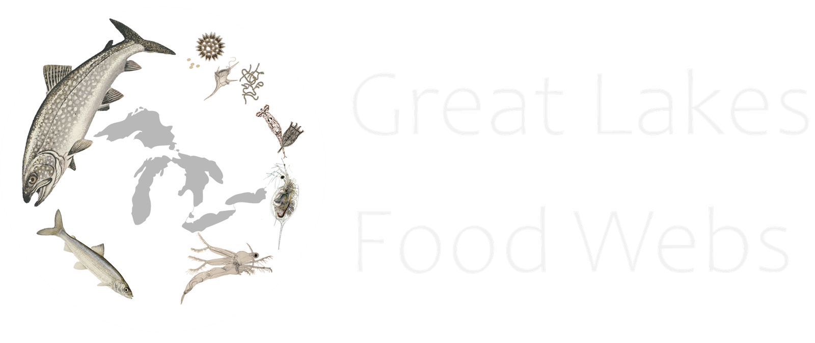 Great Lakes Food Webs